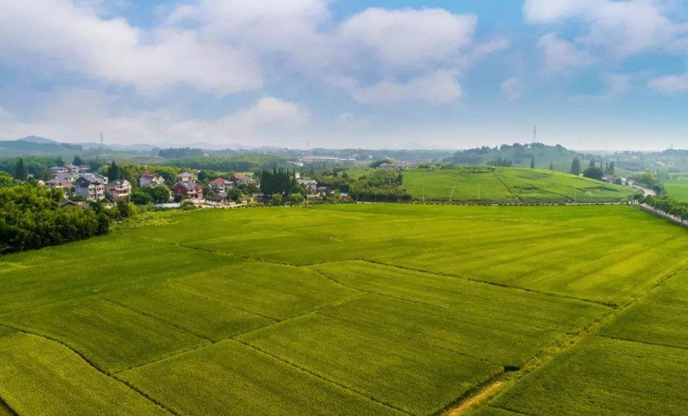 衢州龙游县钱塘江干流防洪提升工程征地补偿安置方案通知